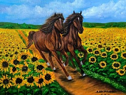Поле със слънчогледи и коне маслена картина. Размер 70/60 с с рамка - 350 лв-