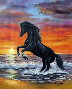 Морски изгрев и черен кон маслена картина. Размер с рамка 70/60 см..- 155 евро