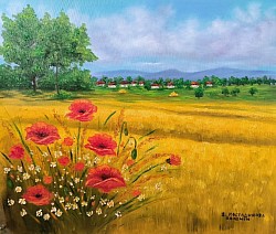 Макове сред златната прегръдка на житата маслена картина. Размер 70/60 см.- 350 лв- 179 евро.